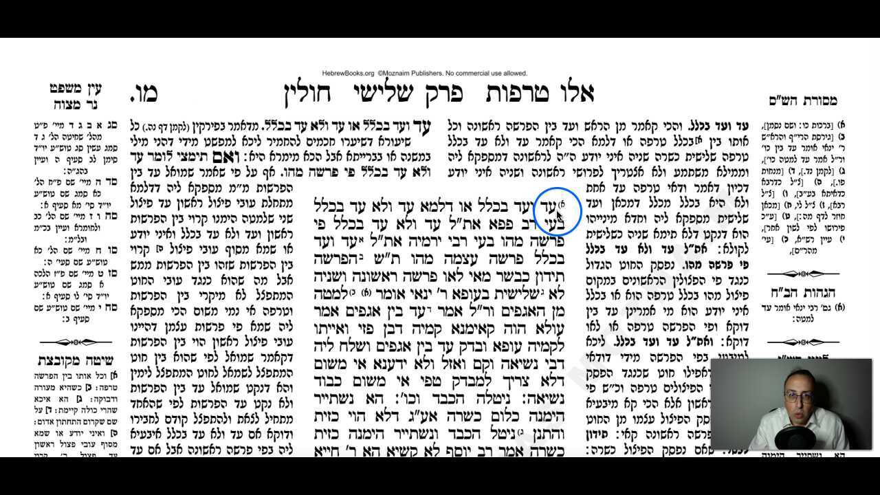 Chullin Daf 46a Daf Yomi Gemara (Talmud) Meseches Chullin Mesechet Chulin Masechet Hullin