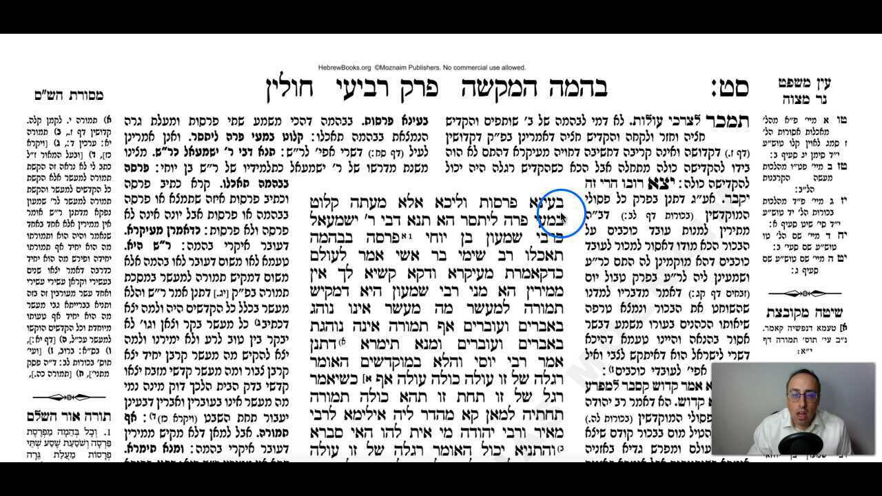 Chullin Daf 69b Daf Yomi Gemara (Talmud) Meseches Chullin Mesechet Chulin Masechet Hullin