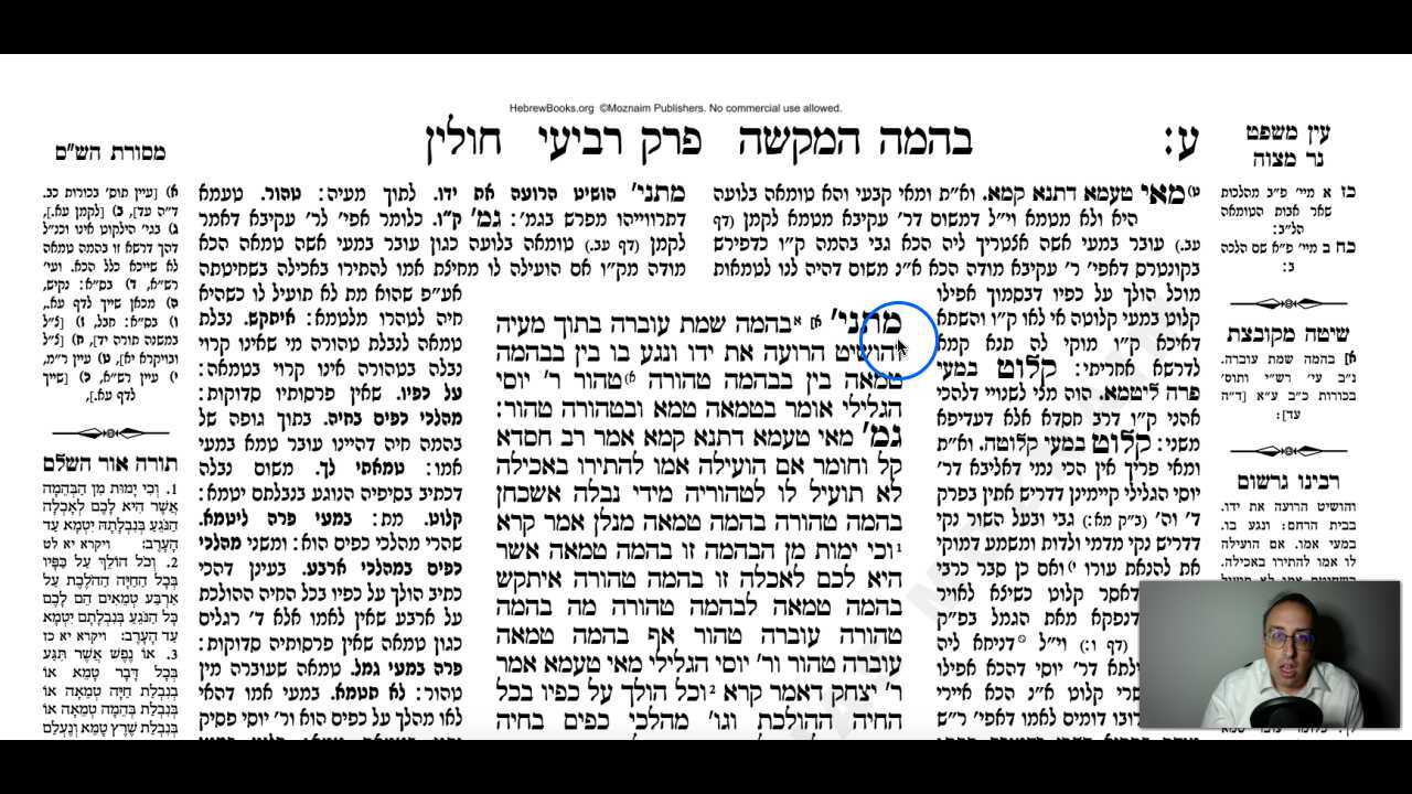 Chullin Daf 70b Daf Yomi Gemara (Talmud) Meseches Chullin Mesechet Chulin Masechet Hullin