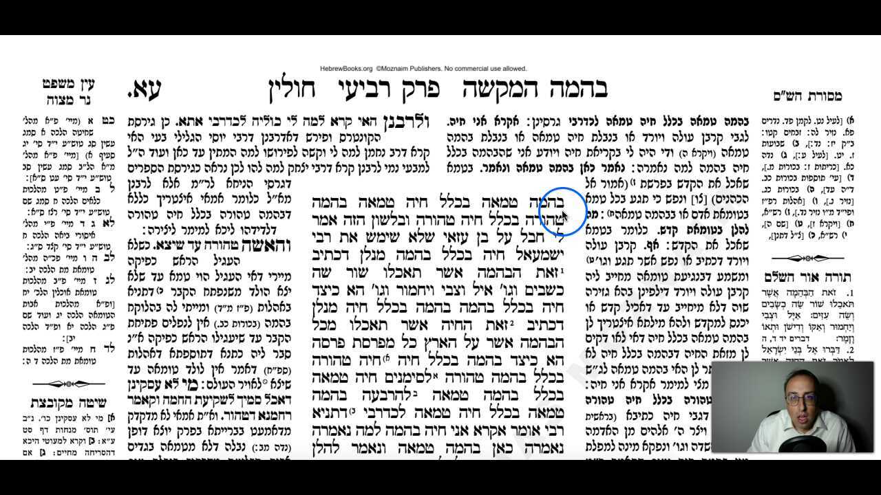 Chullin Daf 71a Daf Yomi Gemara (Talmud) Meseches Chullin Mesechet Chulin Masechet Hullin