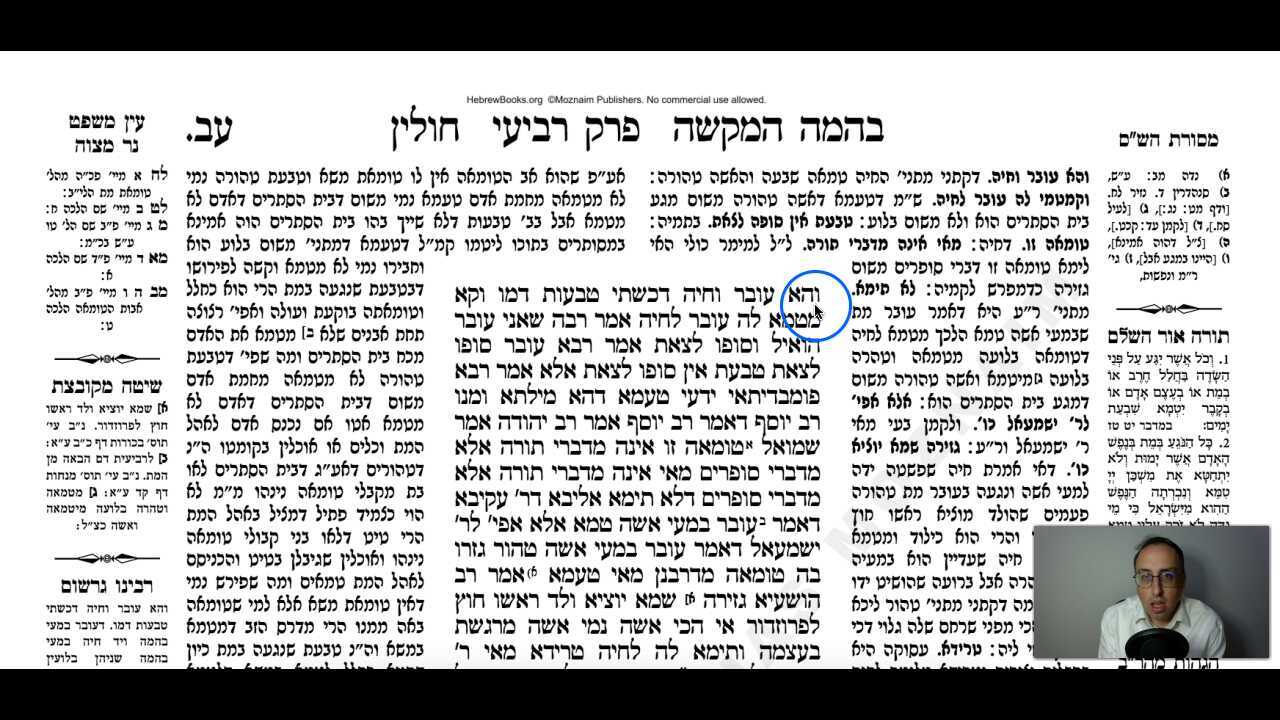 Chullin Daf 72a Daf Yomi Gemara (Talmud) Meseches Chullin Mesechet Chulin Masechet Hullin