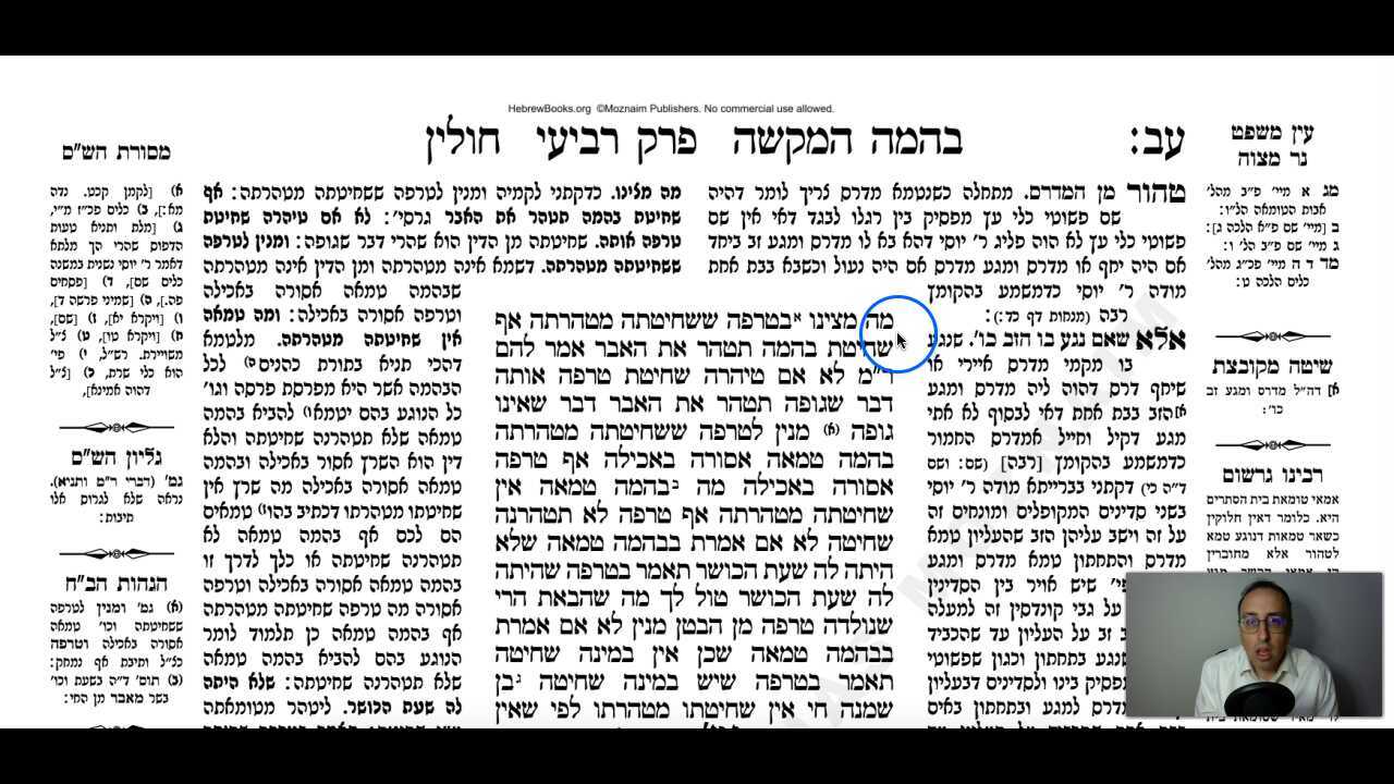 Chullin Daf 72b Daf Yomi Gemara (Talmud) Meseches Chullin Mesechet Chulin Masechet Hullin