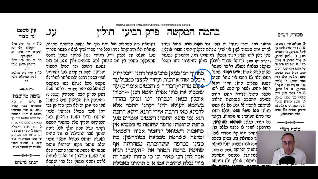 Chullin Daf 73a Daf Yomi Gemara (Talmud) Meseches Chullin Mesechet Chulin Masechet Hullin