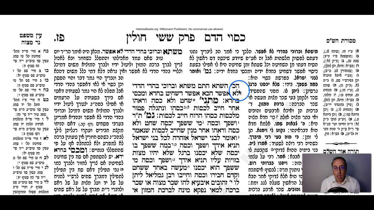 Chullin Daf 87a Daf Yomi Gemara (Talmud) Meseches Chullin Mesechet Chulin Masechet Hullin