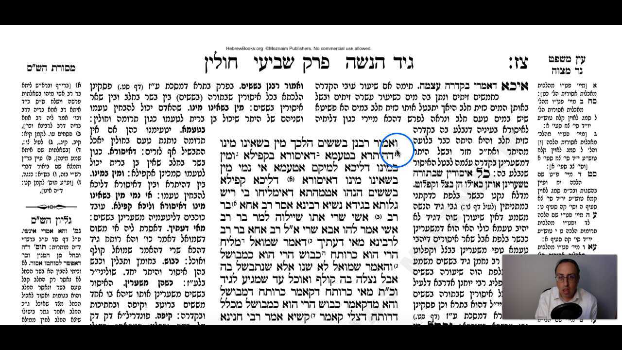 Chullin Daf 97b Daf Yomi Gemara (Talmud) Meseches Chullin Mesechet Chulin Masechet Hullin