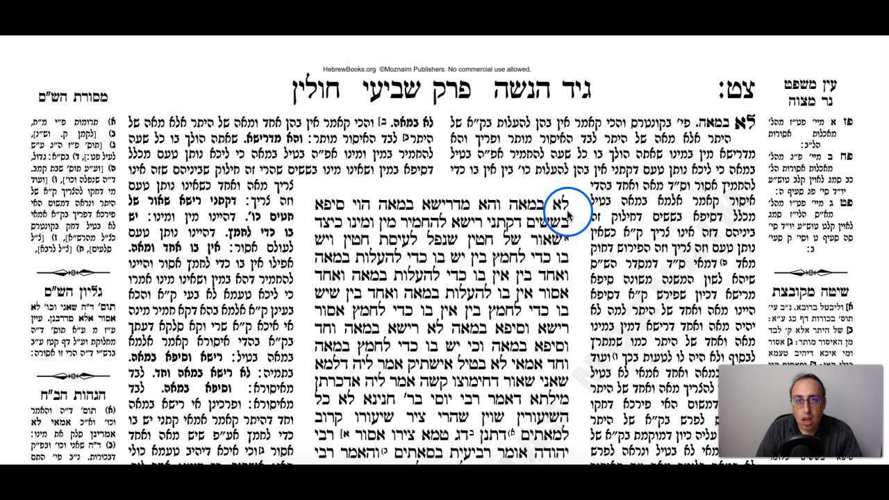 Chullin Daf 99b Daf Yomi Gemara (Talmud) Meseches Chullin Mesechet Chulin Masechet Hullin