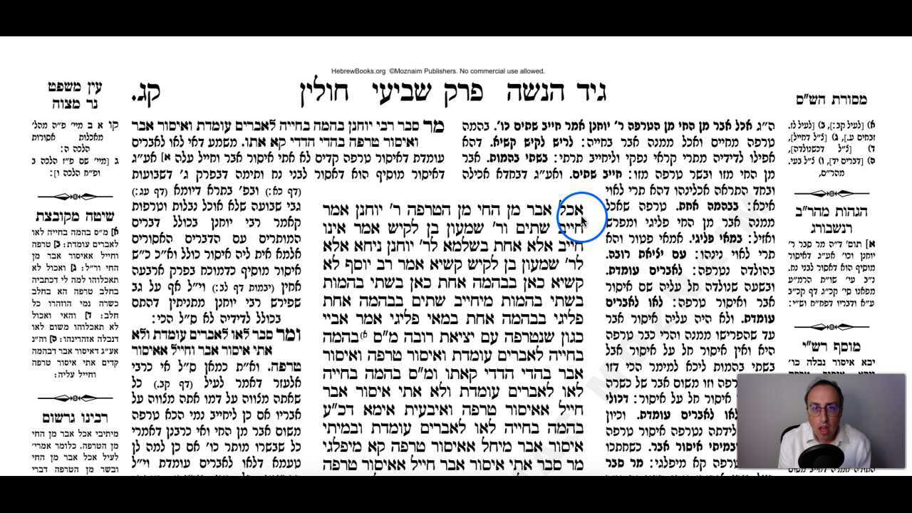Chullin Daf 103a Daf Yomi Gemara (Talmud) Meseches Chullin Mesechet Chulin Masechet Hullin