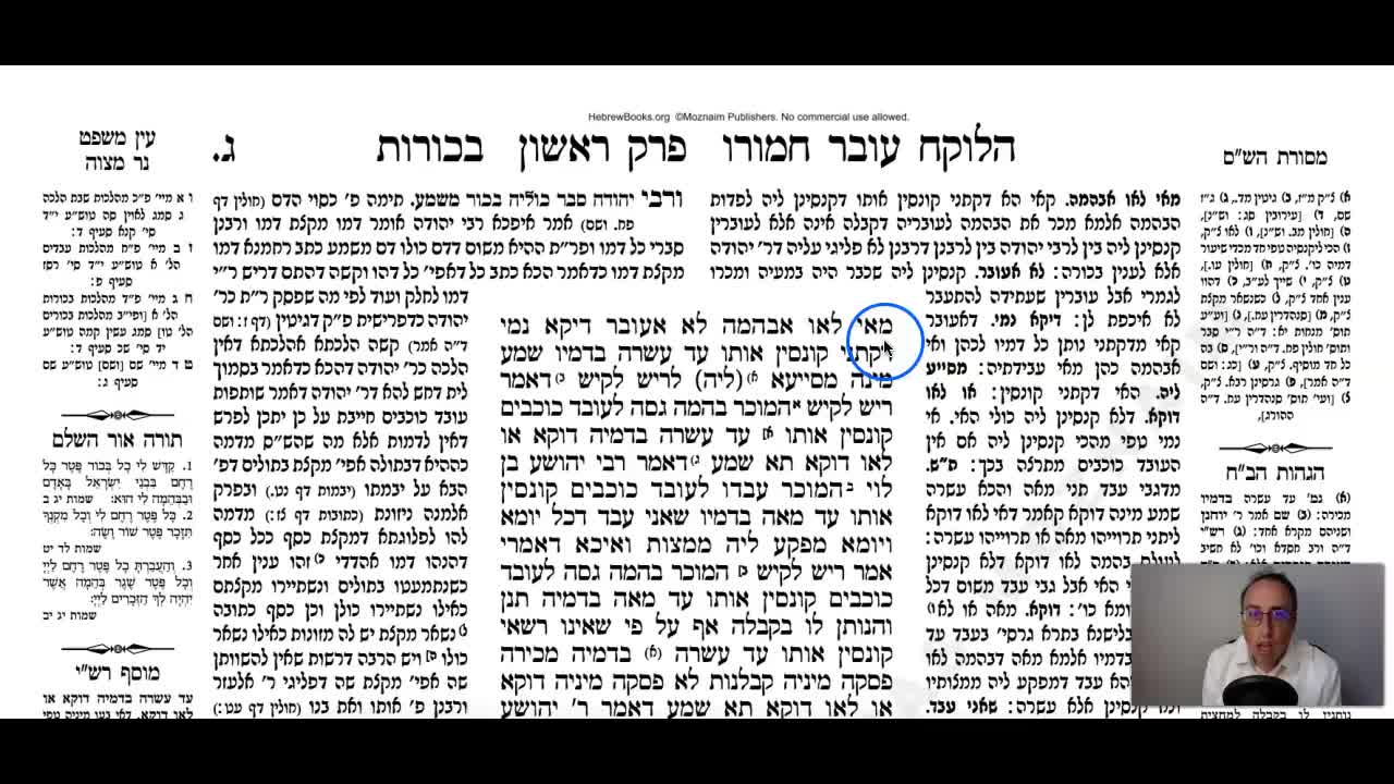 Bechoros Daf 3a Daf Yomi Gemara (Talmud) Meseches Bechoros Mesechet Bechorot Masechet Behorot