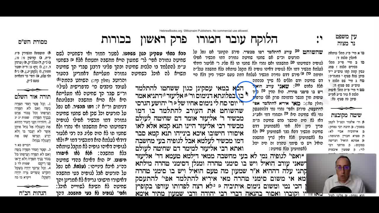 Bechoros Daf 10b Daf Yomi Gemara (Talmud) Meseches Bechoros Mesechet Bechorot Mesechet Behorot
