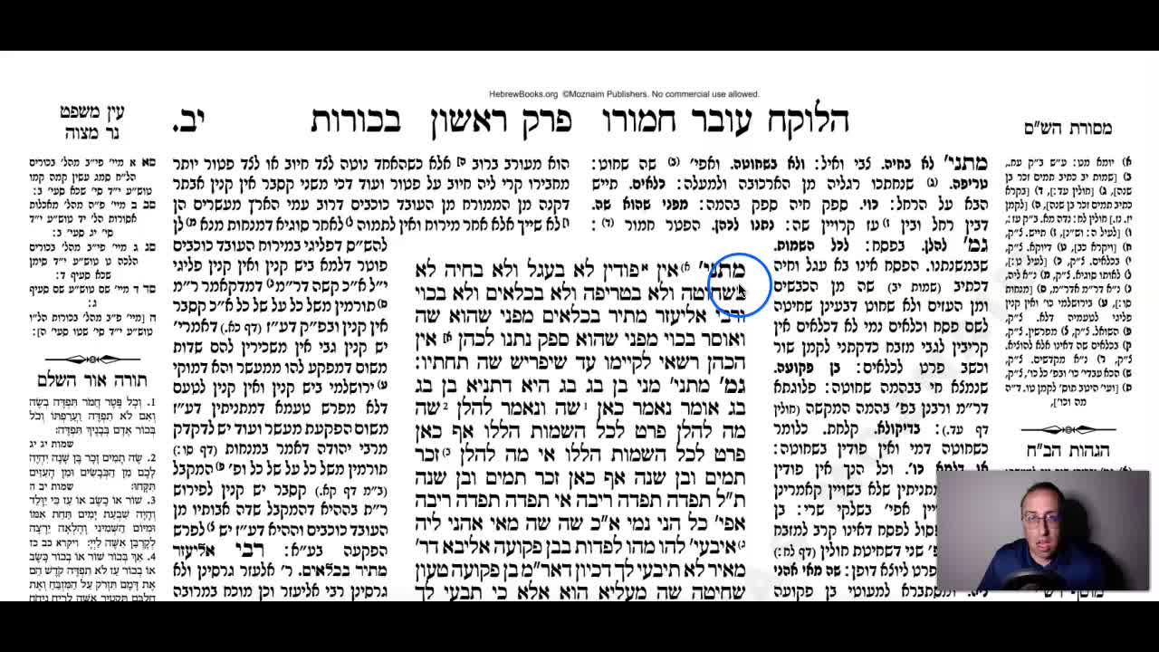 Bechoros Daf 12a Daf Yomi Gemara (Talmud) Meseches Bechoros Mesechet Bechorot Masechet Behorot