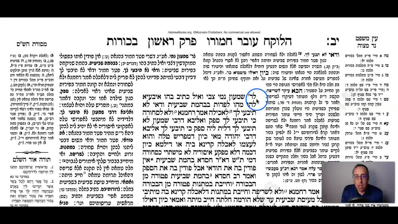 Bechoros Daf 12b Daf Yomi Gemara (Talmud) Meseches Bechoros Mesechet Bechorot Masechet Behorot