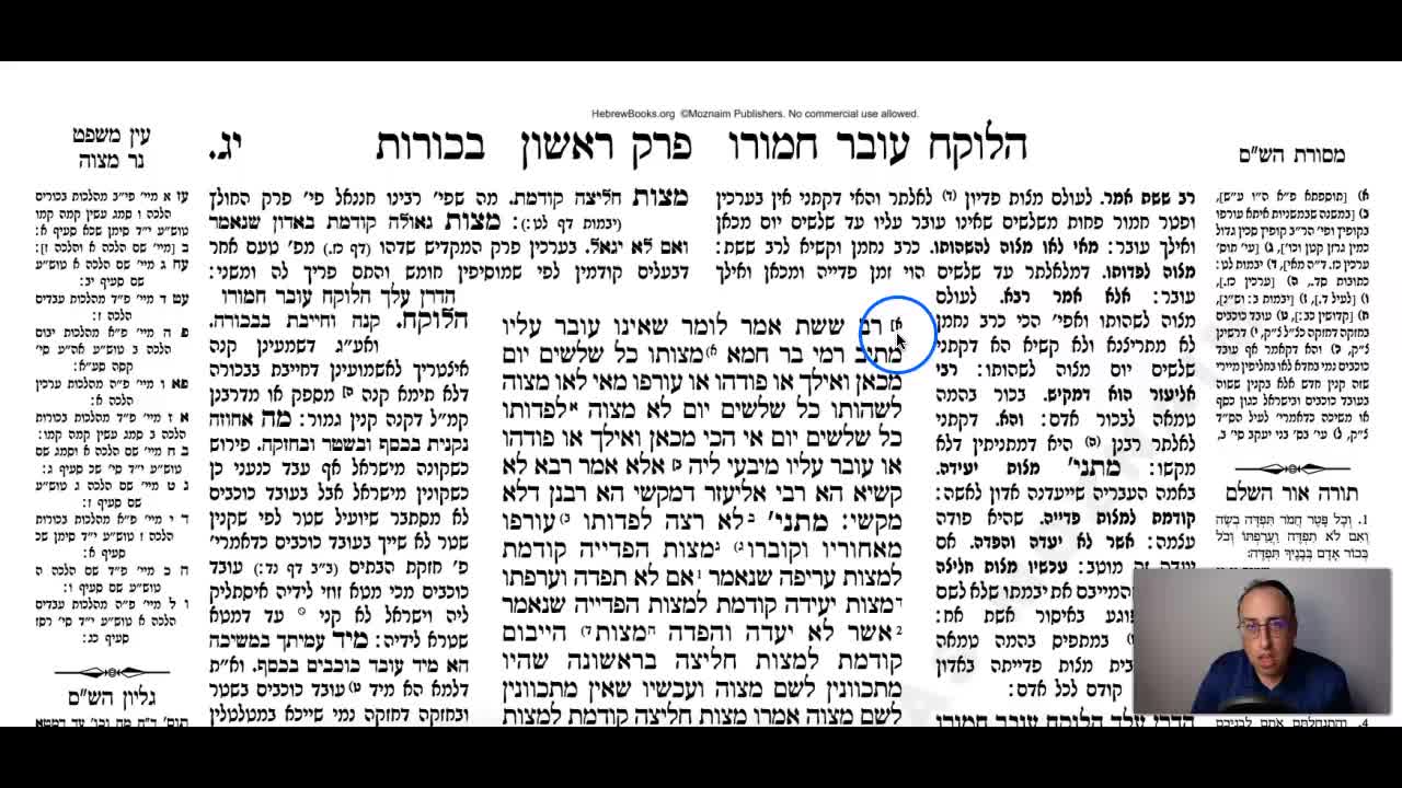Bechoros Daf 13a Daf Yomi Gemara (Talmud) Meseches Bechoros Mesechet Bechorot Masechet Behorot