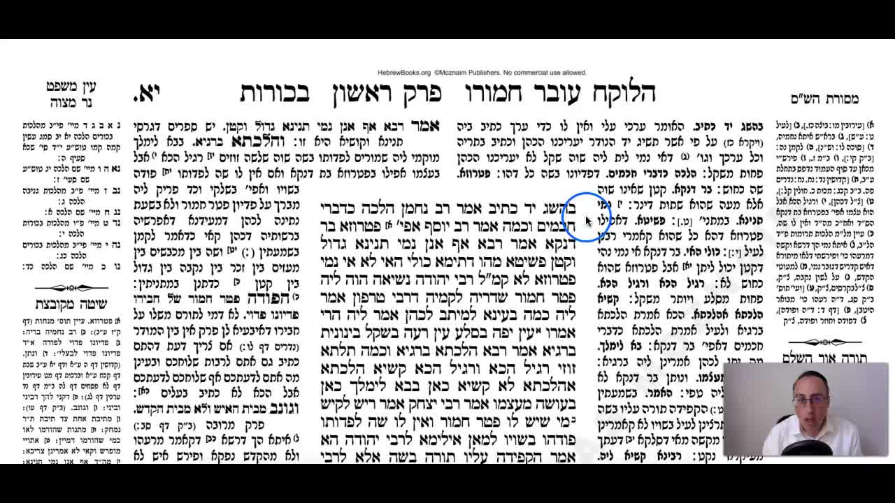 Bechoros Daf 11a Daf Yomi Gemara (Talmud) Meseches Bechoros Mesechet Bechorot Mesechet Behorot