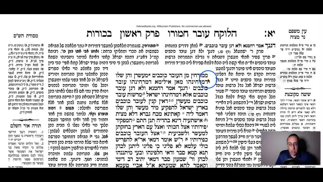 Bechoros Daf 11b Daf Yomi Gemara (Talmud) Meseches Bechoros Mesechet Bechorot Masechet Behorot