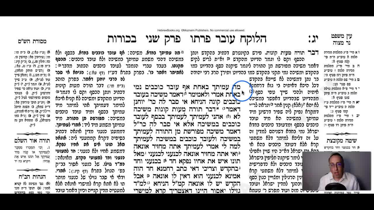 Bechoros Daf 13b Daf Yomi Gemara (Talmud) Meseches Bechoros Mesechet Bechorot Masechet Behorot