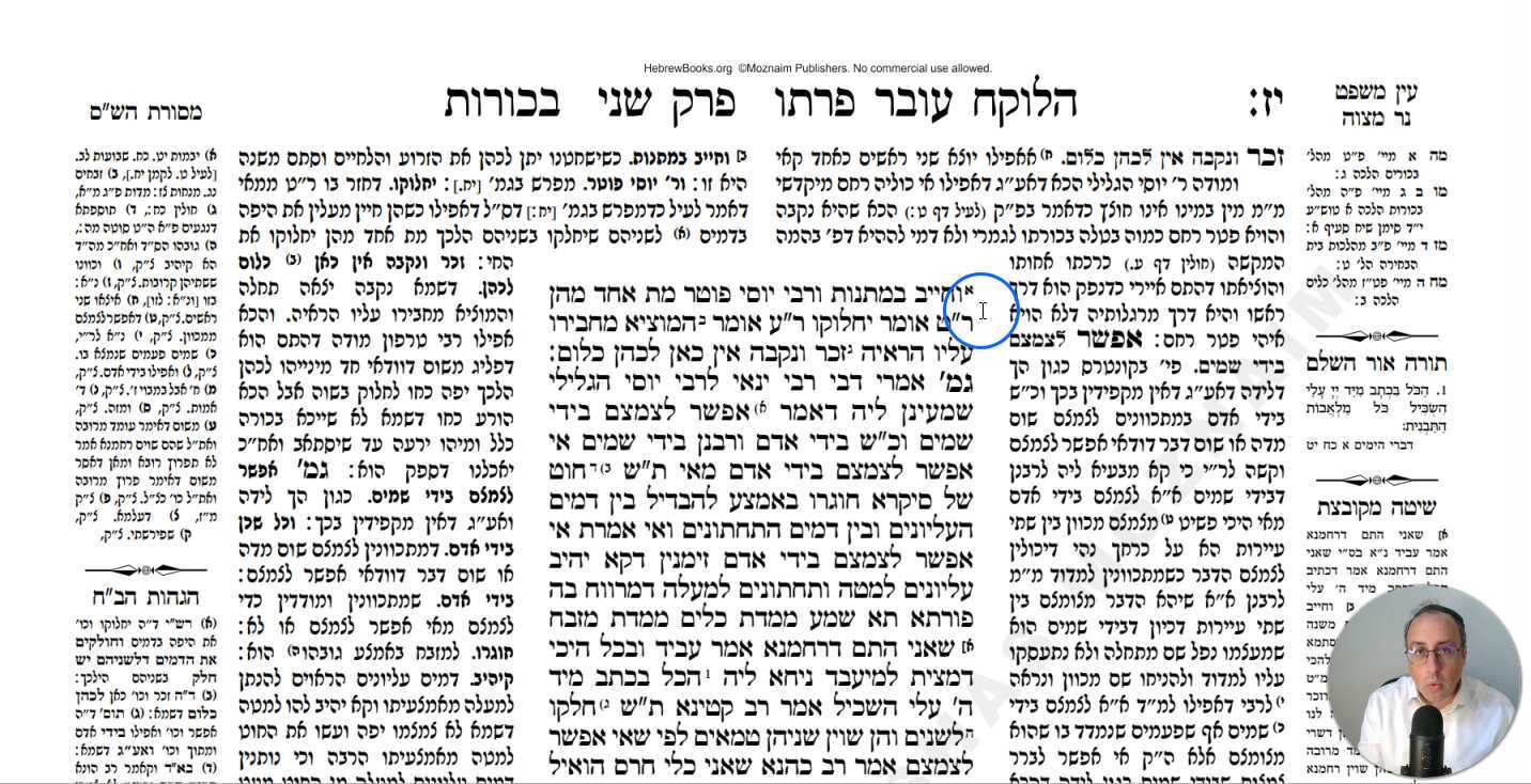 Bechoros Daf 17b Daf Yomi Gemara (Talmud) Meseches Bechoros Mesechet Bechorot Masechet Behorot