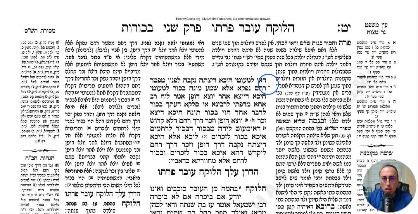 Bechoros Daf 19b Daf Yomi Gemara (Talmud) Meseches Bechoros Mesechet Bechorot Masechet Behorot