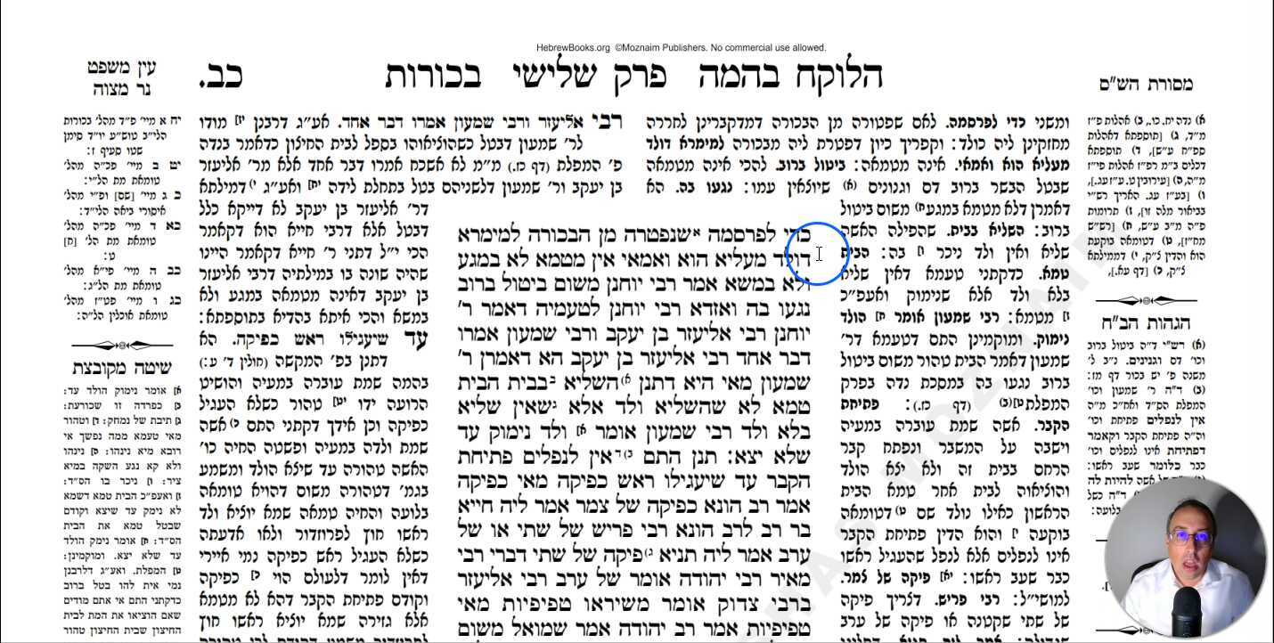 Bechoros Daf 22a Daf Yomi Gemara (Talmud) Meseches Bechoros Mesechet Bechorot Masechet Behorot