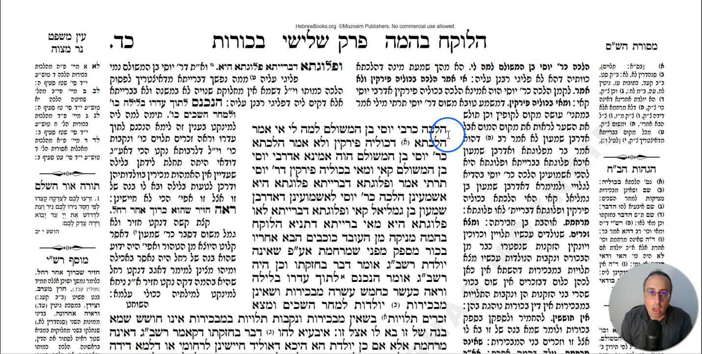 Bechoros Daf 24a Daf Yomi Gemara (Talmud) Meseches Bechoros Mesechet Bechorot Masechet Behorot