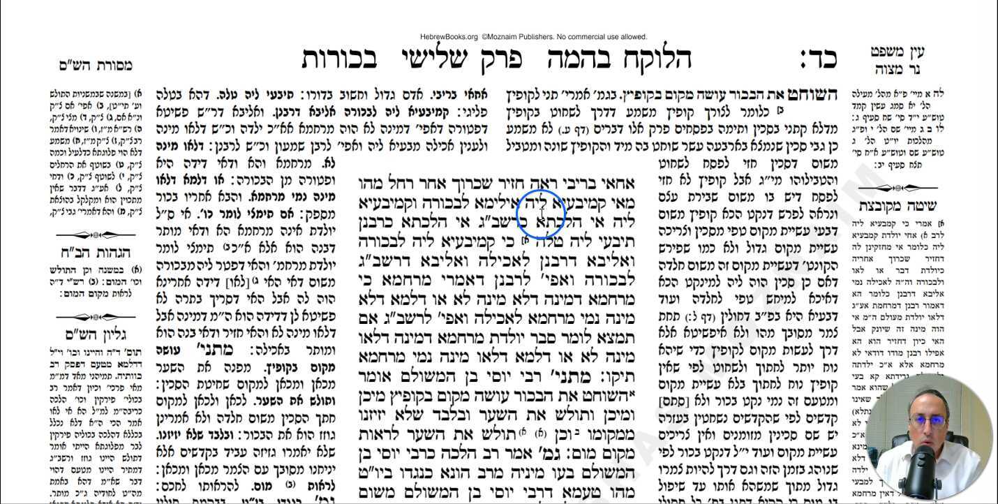 Bechoros Daf 24b Daf Yomi Gemara (Talmud) Meseches Bechoros Mesechet Bechorot Masechet Behorot