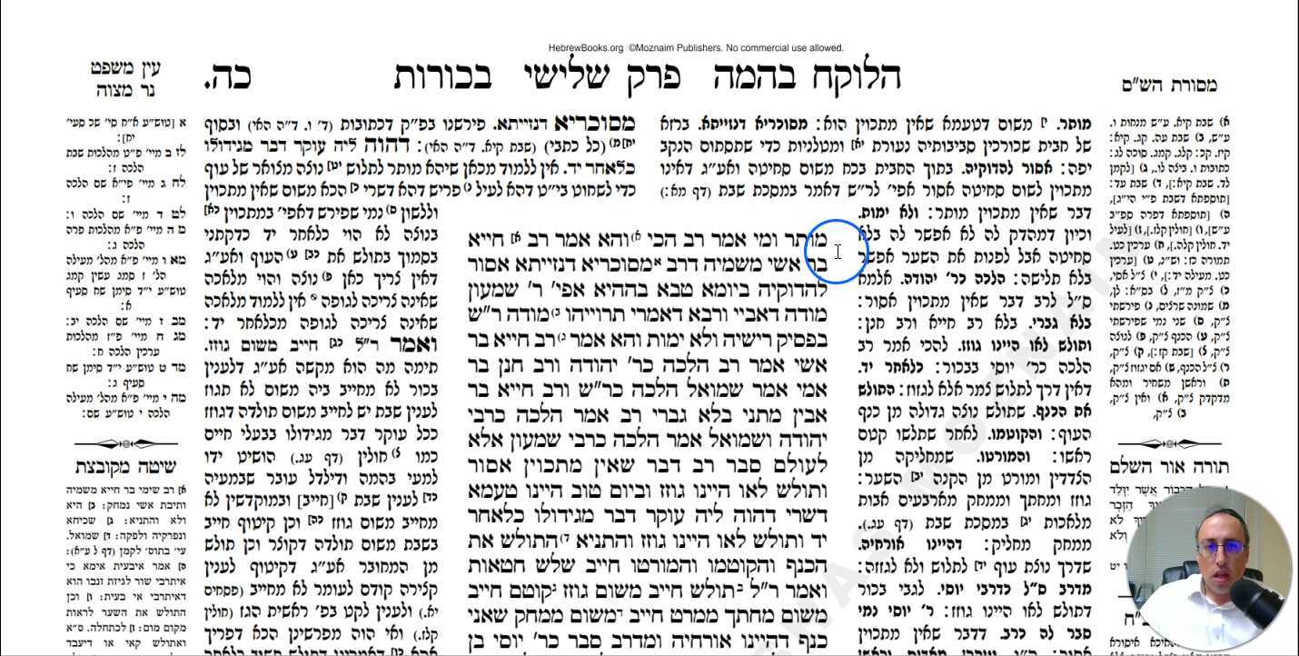 Bechoros Daf 25a Daf Yomi Gemara (Talmud) Meseches Bechoros Mesechet Bechorot Masechet Behorot