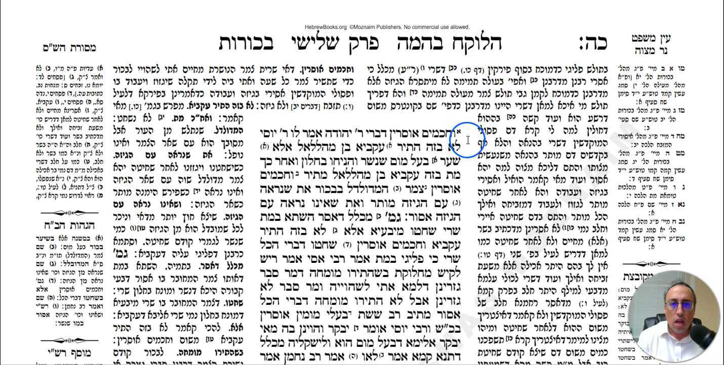 Bechoros Daf 25b Daf Yomi Gemara (Talmud) Meseches Bechoros Mesechet Bechorot Masechet Behorot