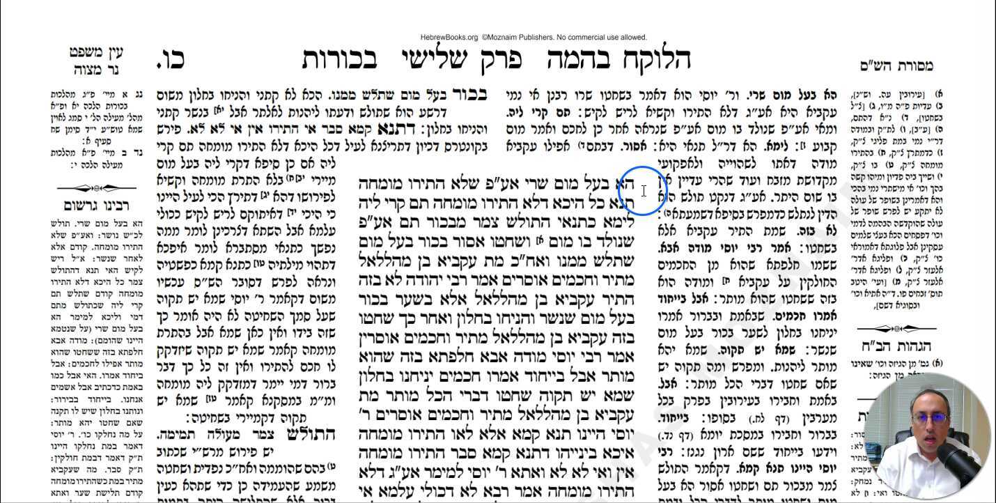 Bechoros Daf 26a Daf Yomi Gemara (Talmud) Meseches Bechoros Mesechet Bechorot Masechet Behorot