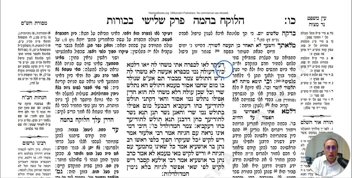 Bechoros Daf 26b Daf Yomi Gemara (Talmud) Meseches Bechoros Mesechet Bechorot Masechet Behorot