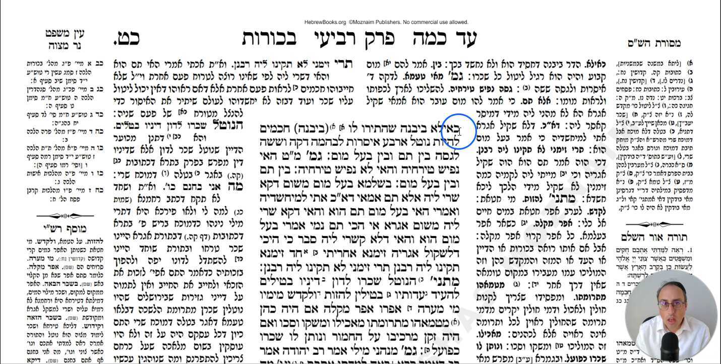 Bechoros Daf 29a Daf Yomi Gemara (Talmud) Meseches Bechoros Mesechet Bechorot Masechet Behorot