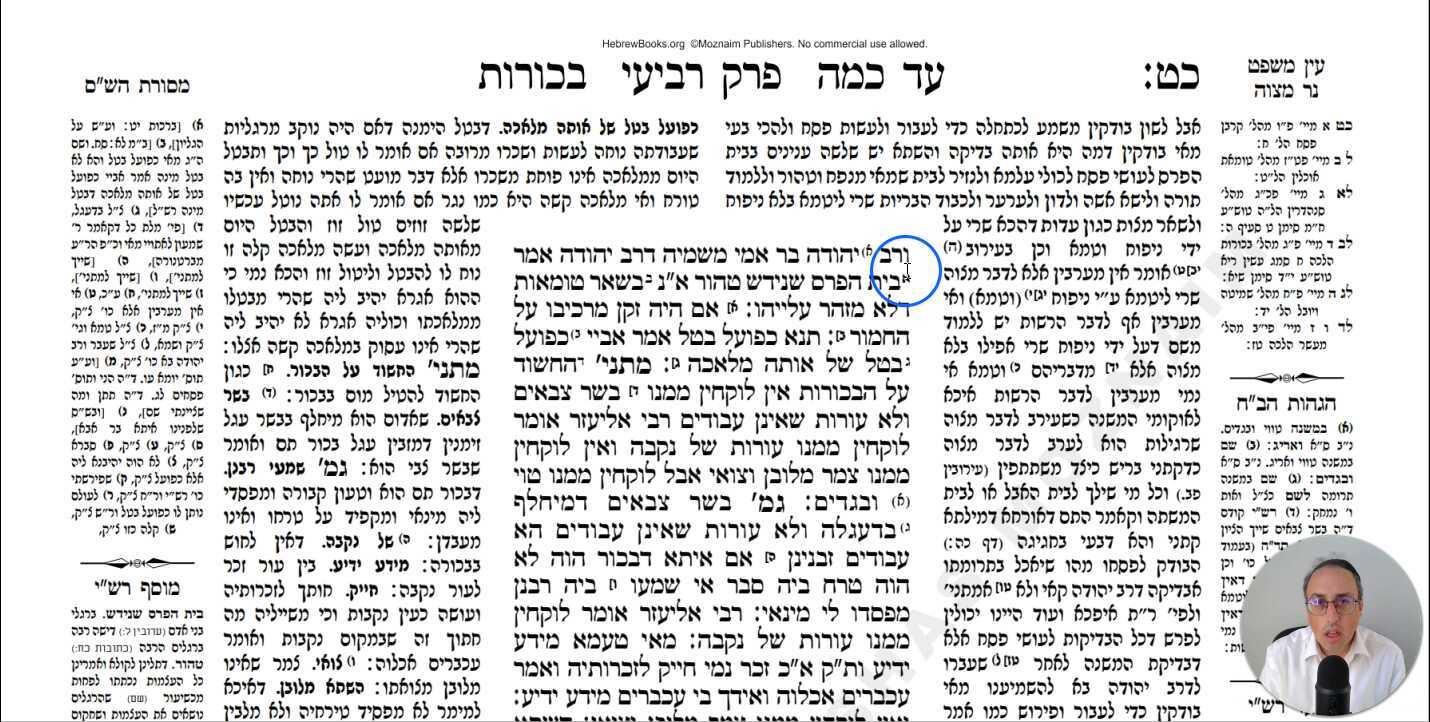 Bechoros Daf 29b Daf Yomi Gemara (Talmud) Meseches Bechoros Mesechet Bechorot Masechet Behorot