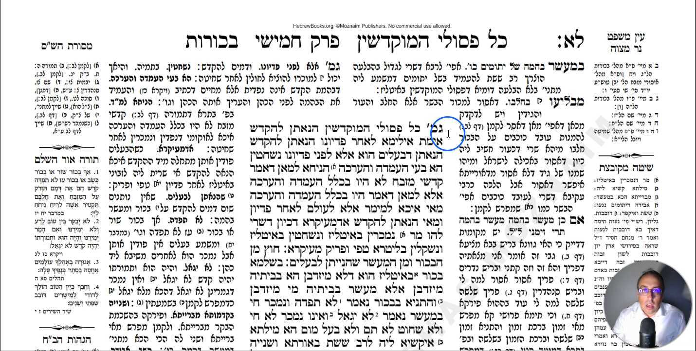 Bechoros Daf 31b Daf Yomi Gemara (Talmud) Meseches Bechoros Mesechet Bechorot Masechet Behorot