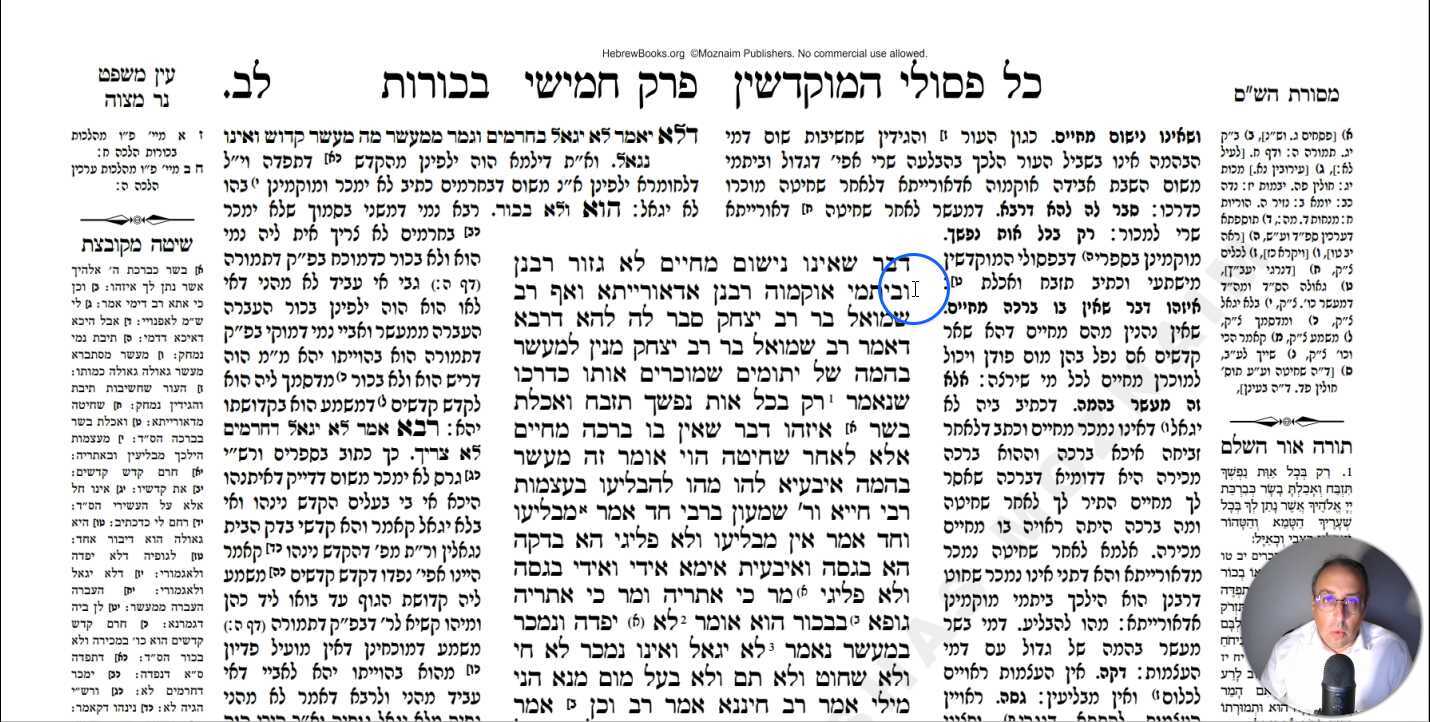 Bechoros Daf 32a Daf Yomi Gemara (Talmud) Meseches Bechoros Mesechet Bechorot Masechet Behorot