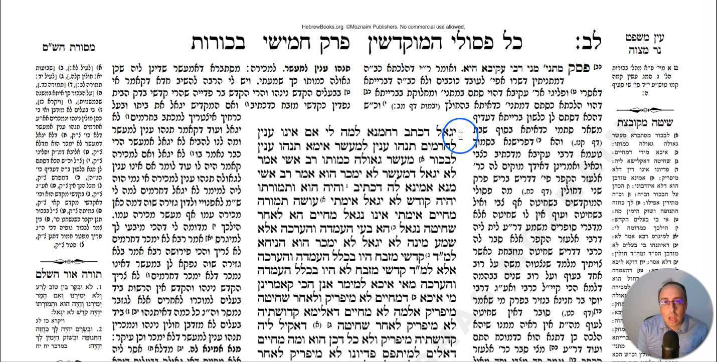 Bechoros Daf 32b Daf Yomi Gemara (Talmud) Meseches Bechoros Mesechet Bechorot Masechet Behorot
