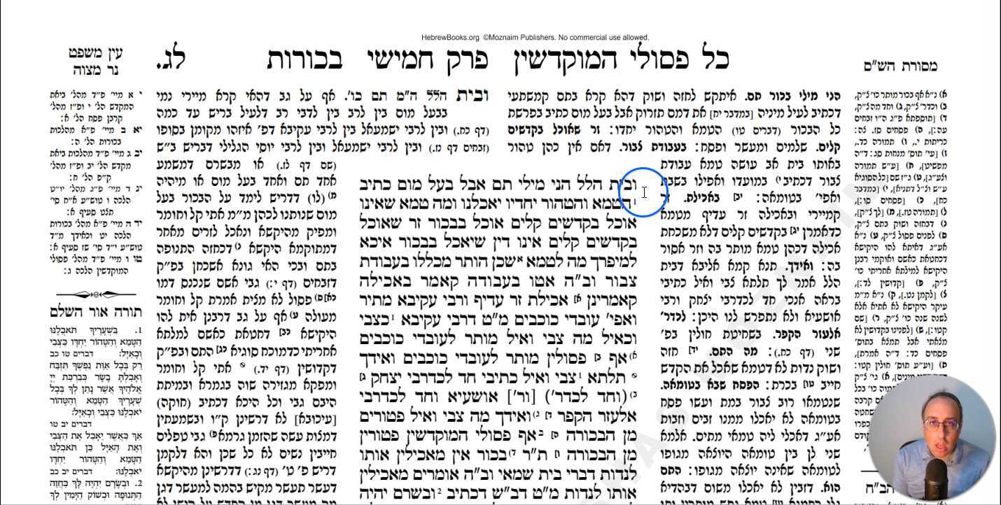 Bechoros Daf 33a Daf Yomi Gemara (Talmud) Meseches Bechoros Mesechet Bechorot Masechet Behorot