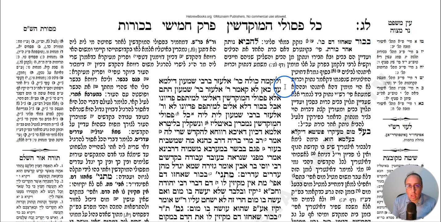 Bechoros Daf 33b Daf Yomi Gemara (Talmud) Meseches Bechoros Mesechet Bechorot Masechet Behorot