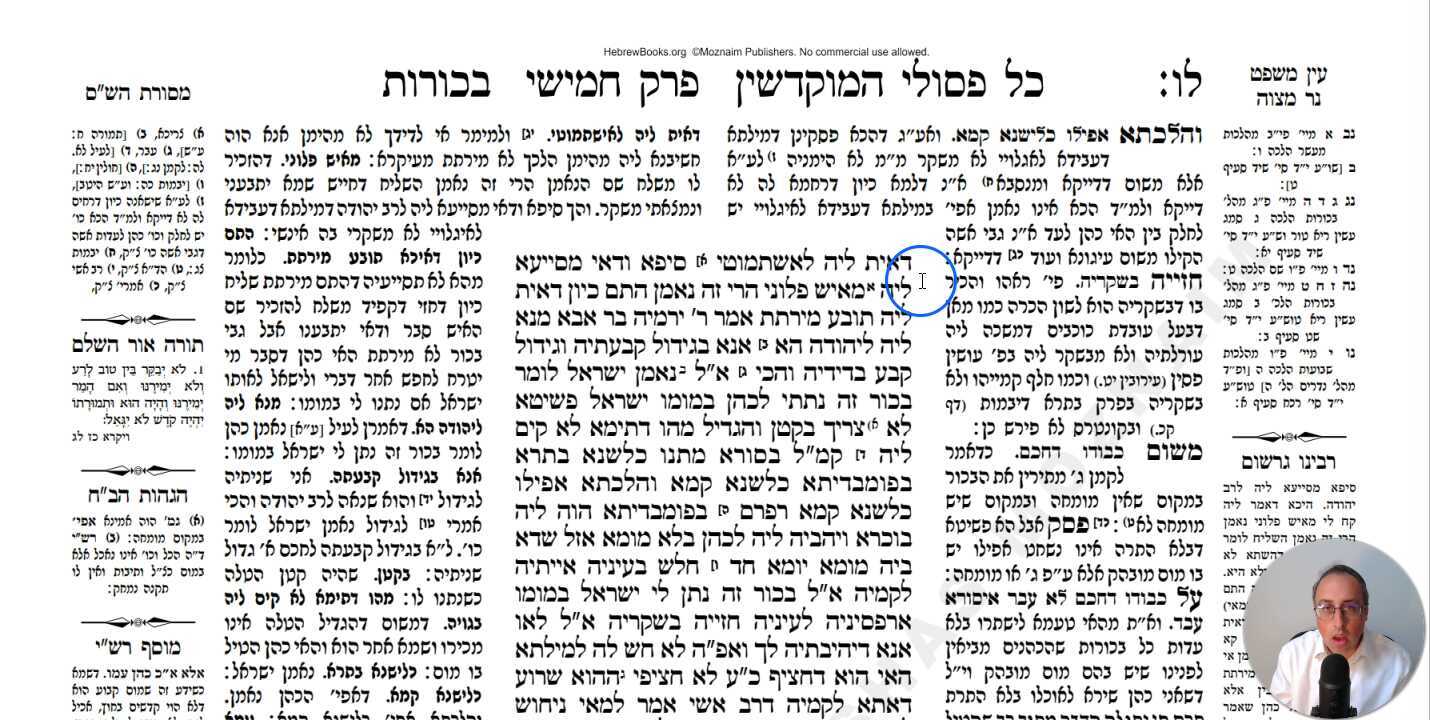 Bechoros Daf 36b Daf Yomi Gemara (Talmud) Meseches Bechoros Mesechet Bechorot Masechet Behorot