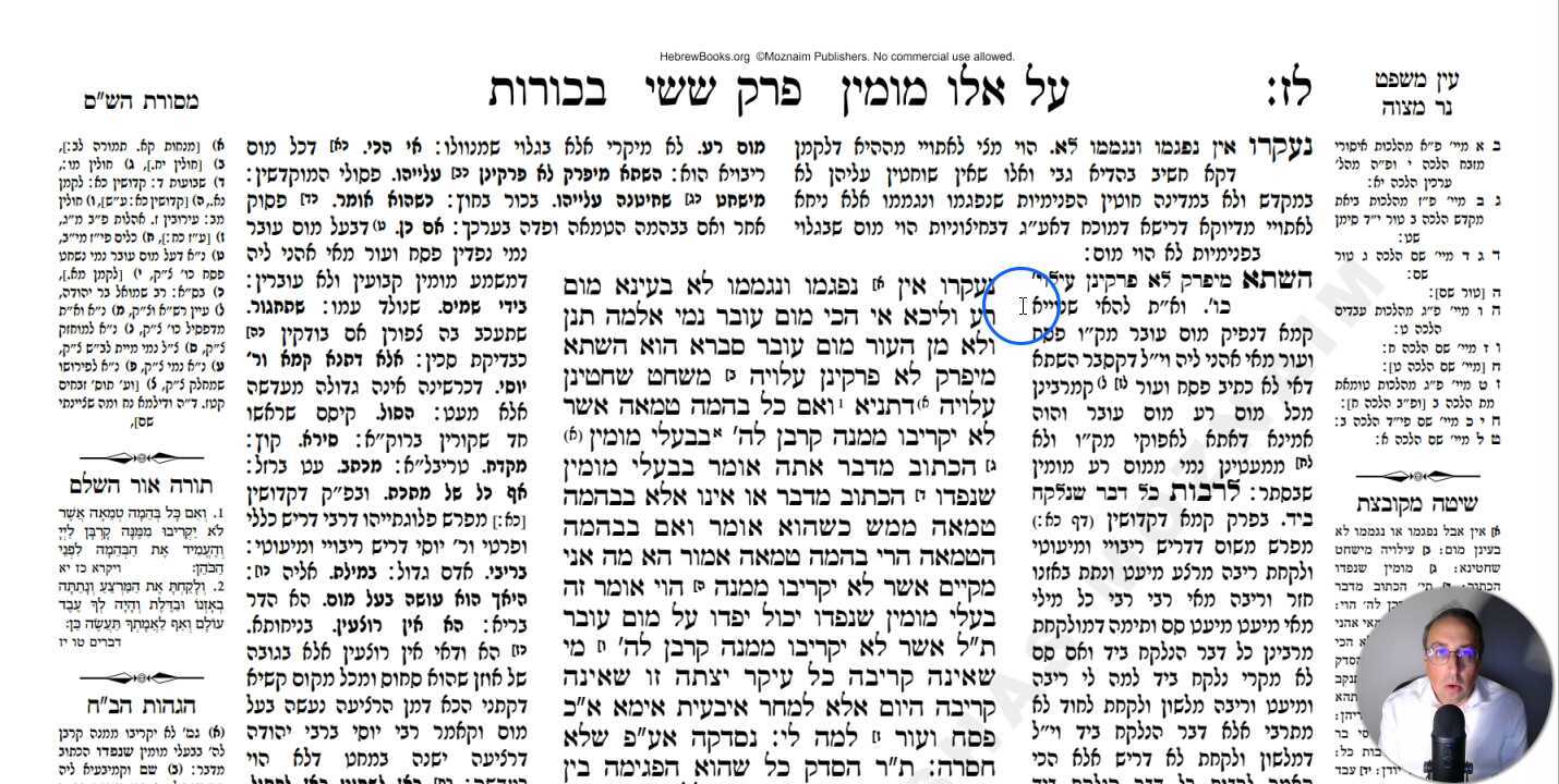 Bechoros Daf 37b Daf Yomi Gemara (Talmud) Meseches Bechoros Mesechet Bechorot Masechet Behorot