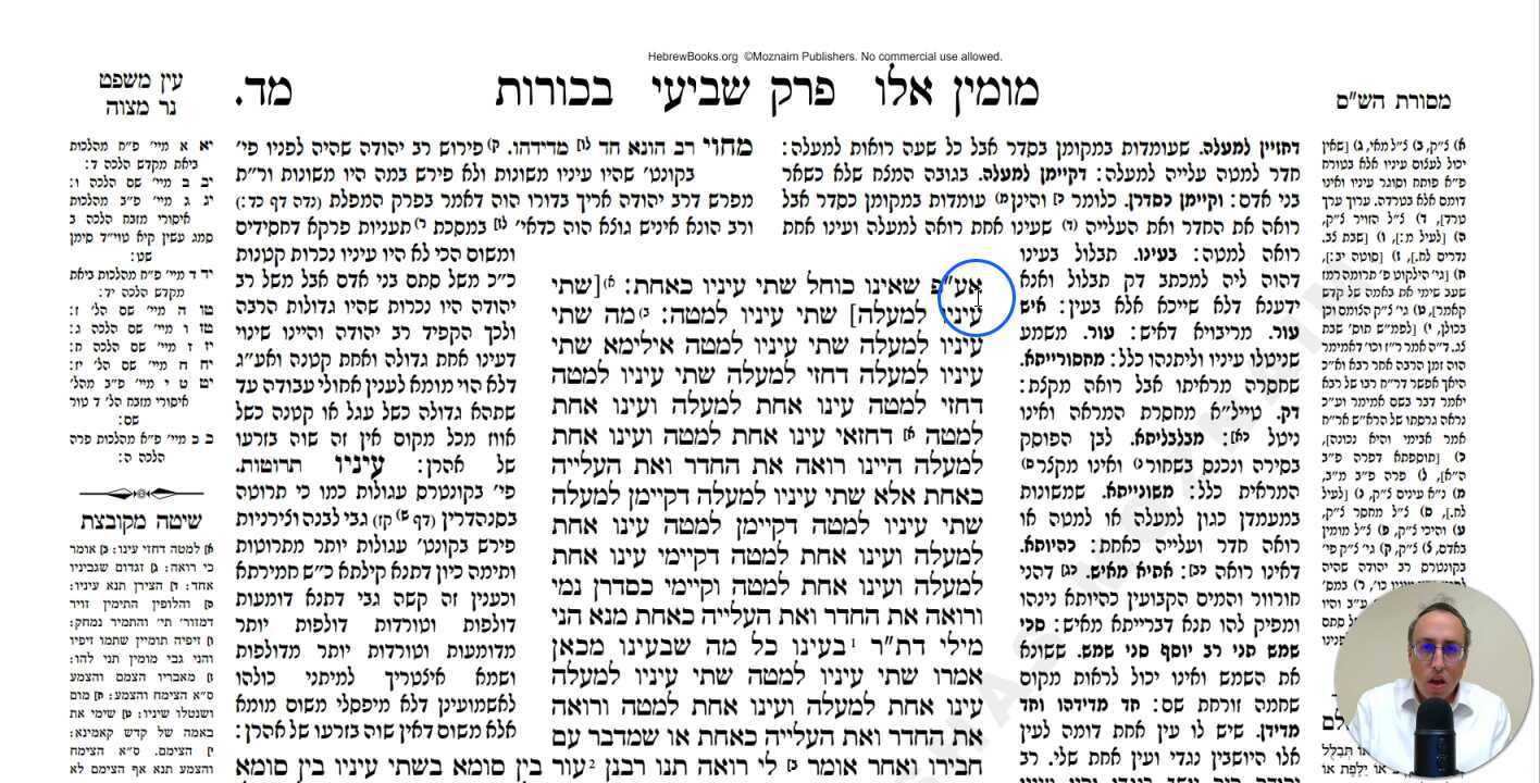 Bechoros Daf 44a Daf Yomi Gemara (Talmud) Meseches Bechoros Mesechet Bechorot Masechet Behorot
