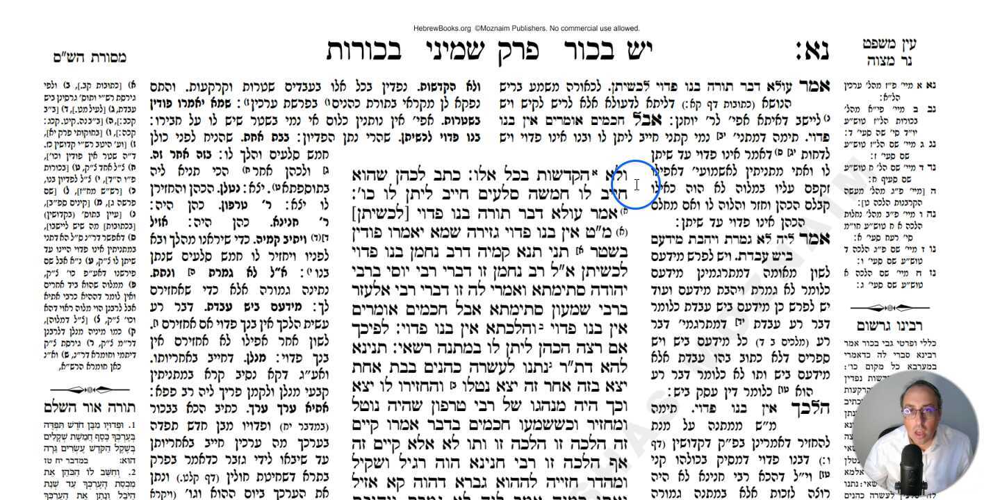 Bechoros Daf 51b Daf Yomi Gemara (Talmud) Meseches Bechoros Mesechet Bechorot Masechet Behorot