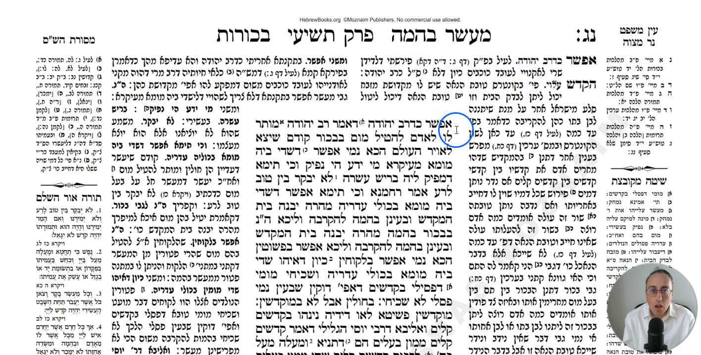 Bechoros Daf 53b Daf Yomi Gemara (Talmud) Meseches Bechoros Mesechet Bechorot Masechet Behorot