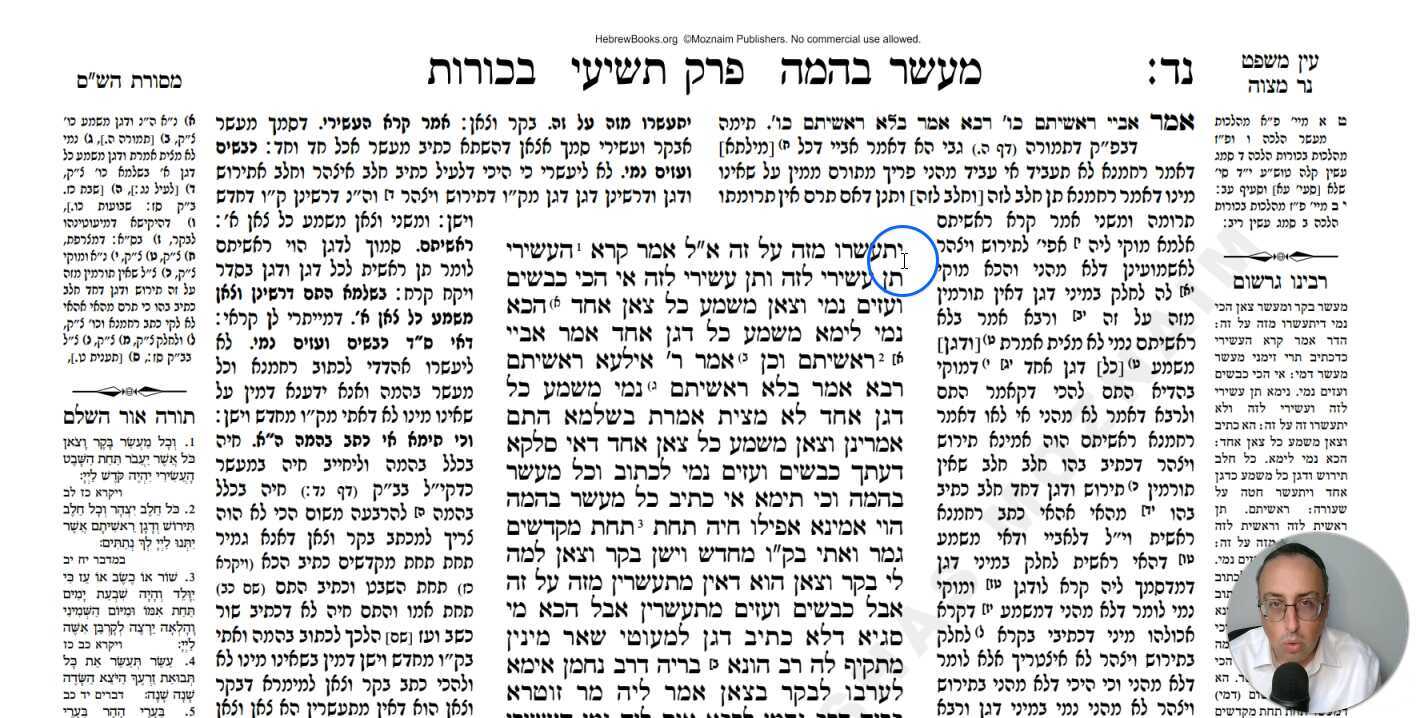 Bechoros Daf 54b Daf Yomi Gemara (Talmud) Meseches Bechoros Mesechet Bechorot Masechet Behorot