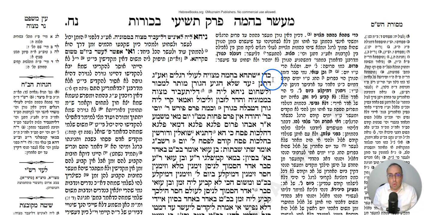 Bechoros Daf 58a Daf Yomi Gemara (Talmud) Meseches Bechoros Mesechet Bechorot Masechet Behorot