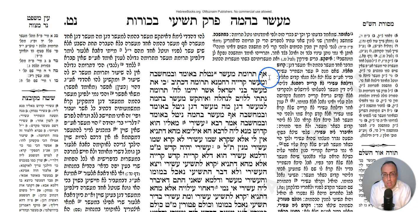 Bechoros Daf 59a Daf Yomi Gemara (Talmud) Meseches Bechoros Mesechet Bechorot Masechet Behorot
