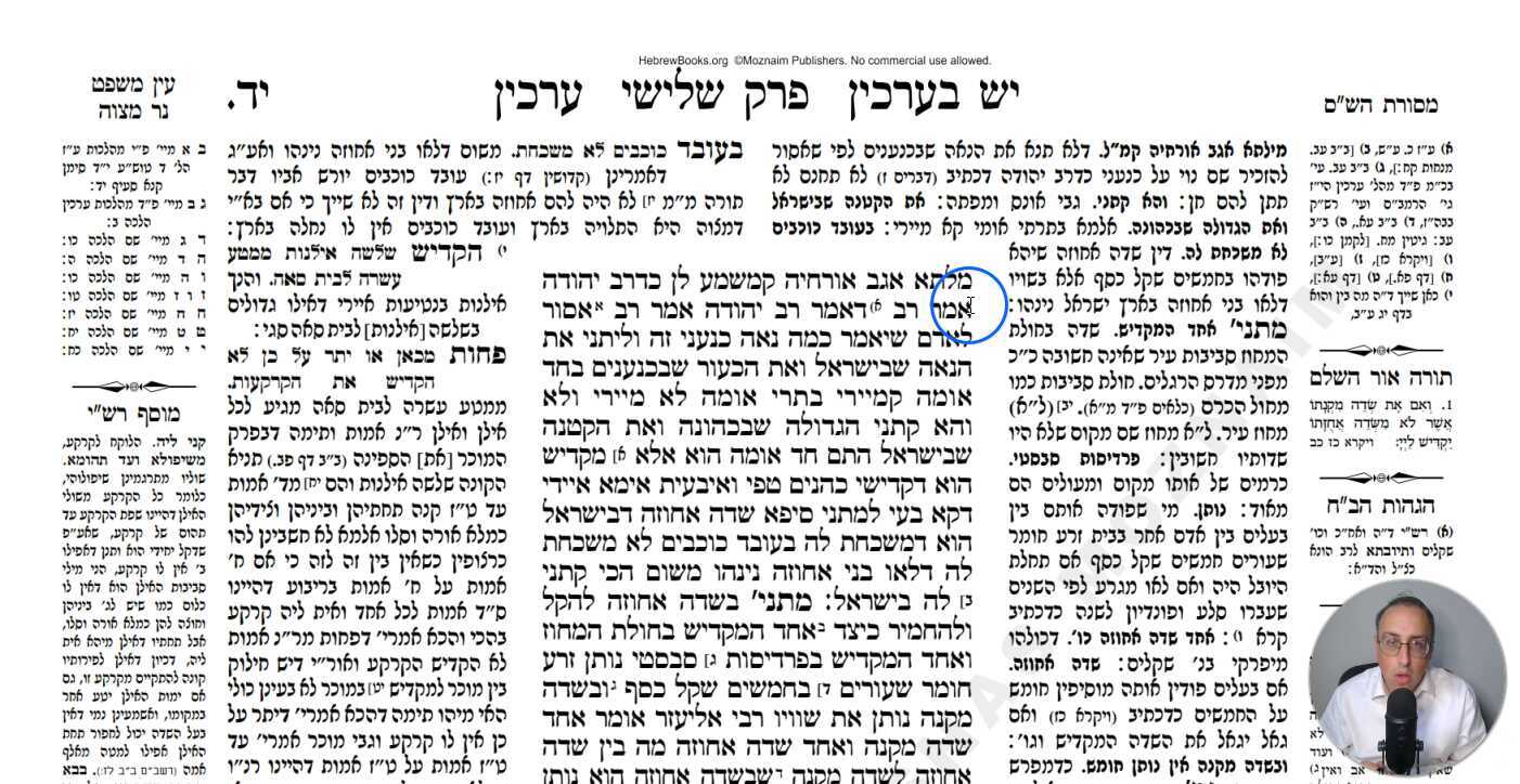 Arachin Daf 14a Daf Yomi Gemara (Talmud) Meseches Arachin Mesechet Erchin Masechet Arakhin