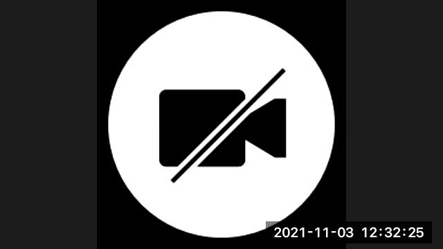 THLA LTSC - Emerging & Non-Traditional Roles for Library Technicians in 2021