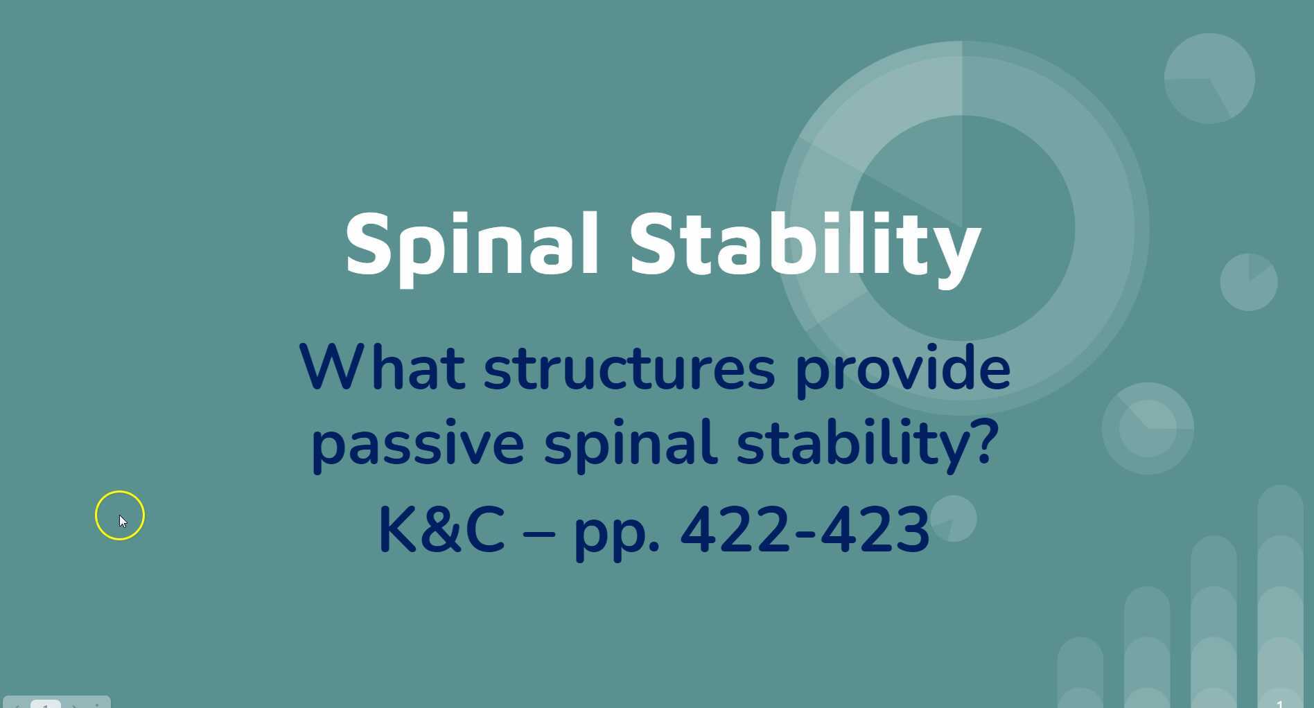 Spinal stability part 4