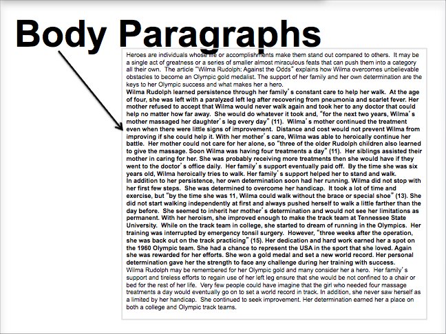 body in essay examples