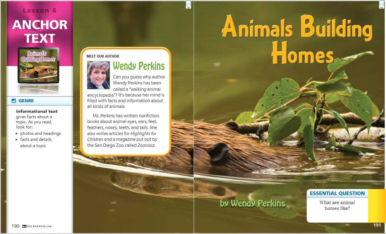 Animals Building Homes Read Aloud