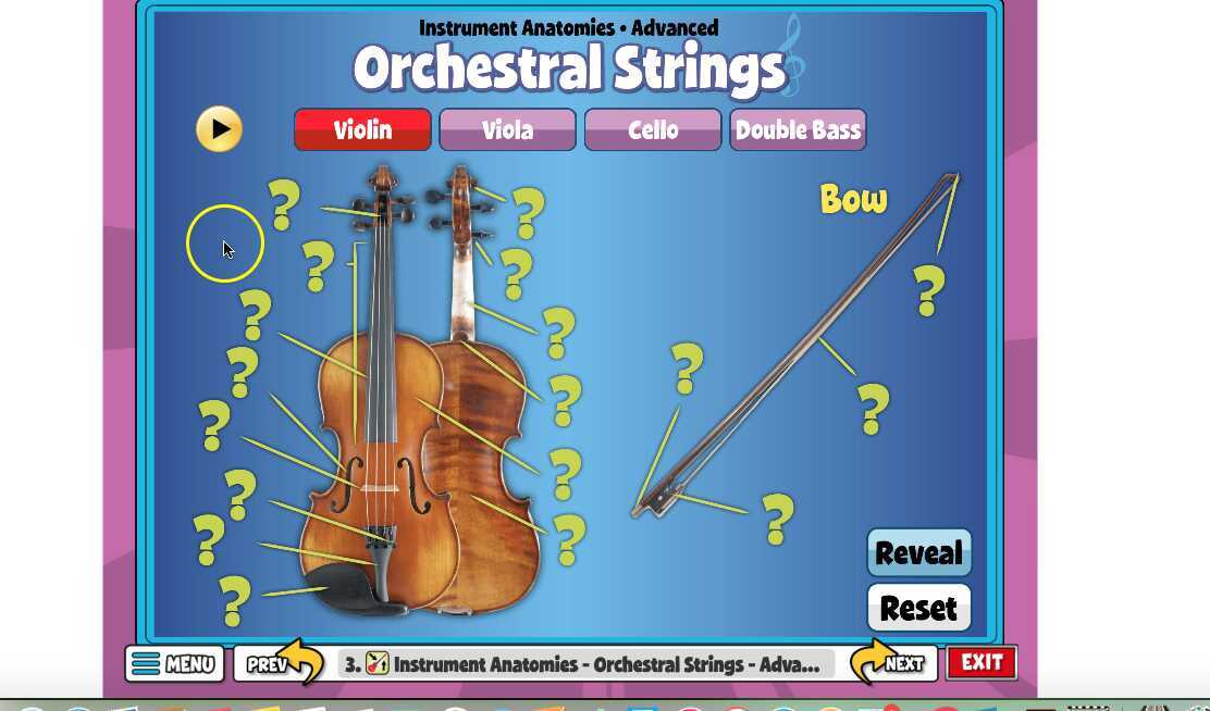 String Family Lesson 3.1