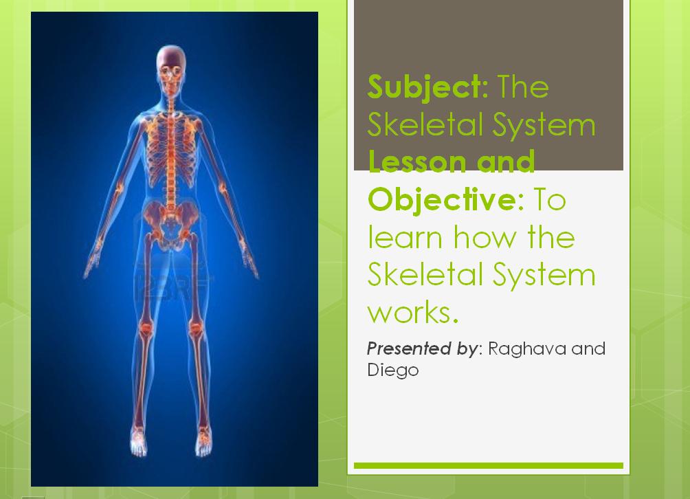 skeletal system diego and raghava